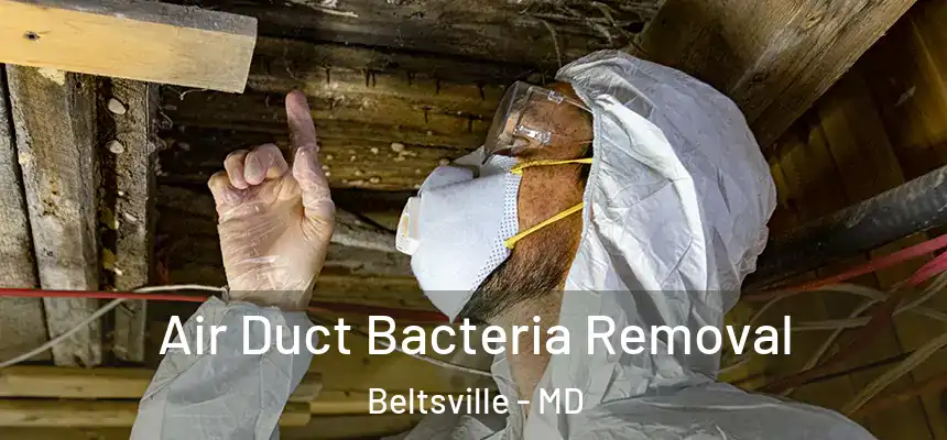  Air Duct Bacteria Removal Beltsville - MD