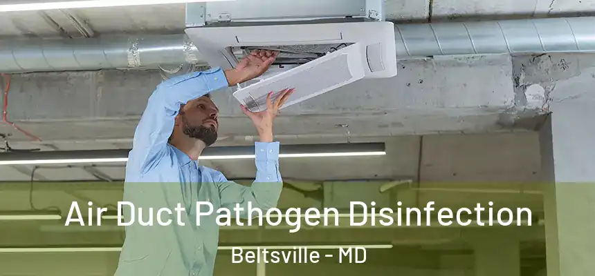  Air Duct Pathogen Disinfection Beltsville - MD