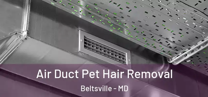  Air Duct Pet Hair Removal Beltsville - MD