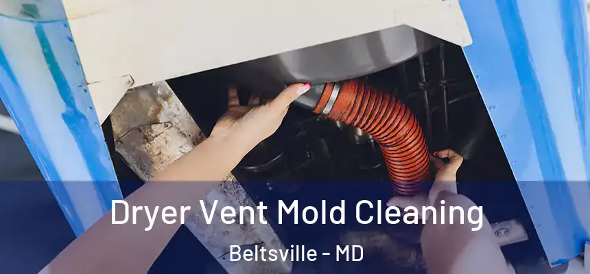  Dryer Vent Mold Cleaning Beltsville - MD