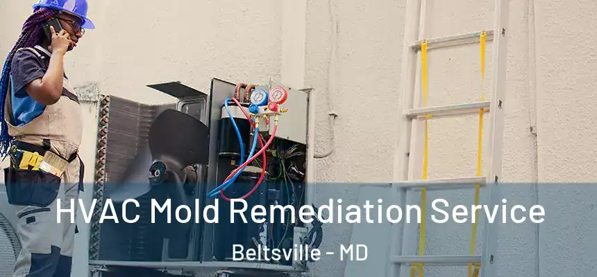  HVAC Mold Remediation Service Beltsville - MD