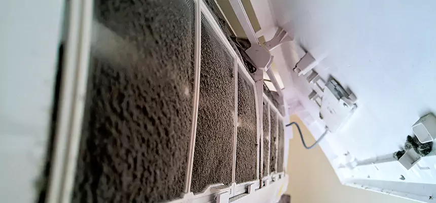 Preventive Air Duct Bacteria Removal in Beltsville