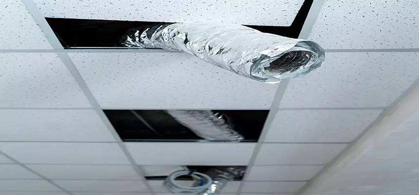 Our Air Duct Pet Hair Removal Services in Beltsville, MD