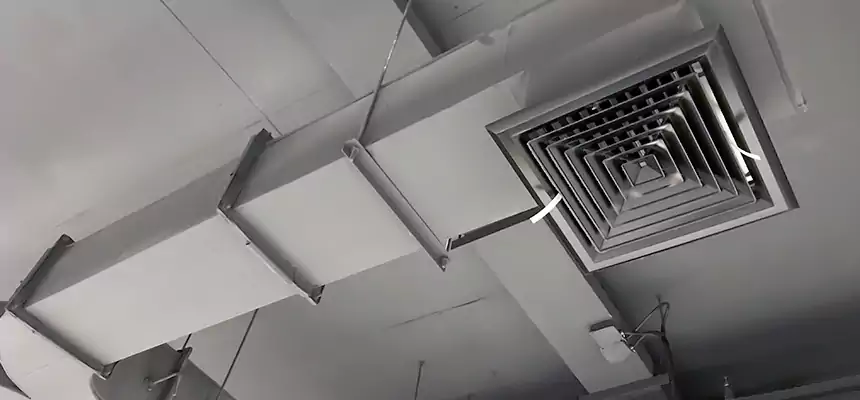 Restorative Allergy Relief Vent Cleaning – Coil, Blower & Housing Detail in Beltsville