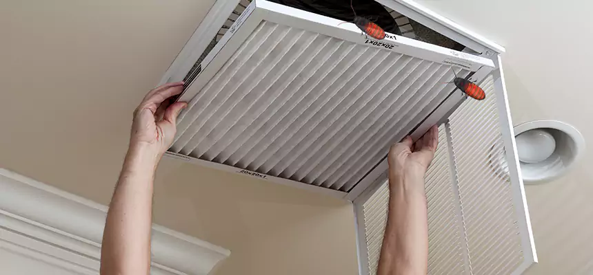 Our Insect Removal from Air Ducts Services in Beltsville, MD