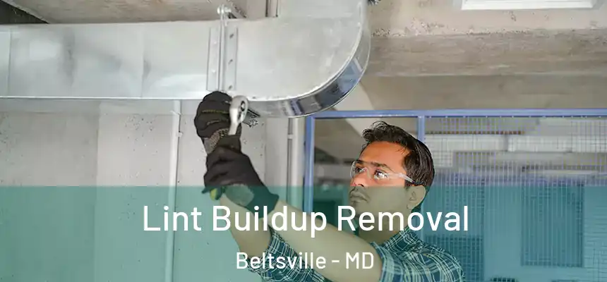  Lint Buildup Removal Beltsville - MD