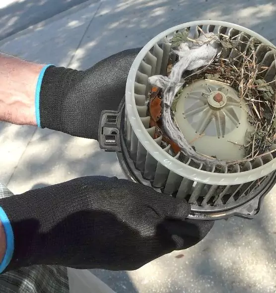 About Air Duct Mice Removal in Beltsville, MD