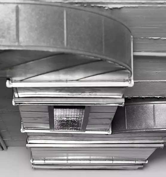 Professional Air Duct Pet Hair Removal in Beltsville, MD