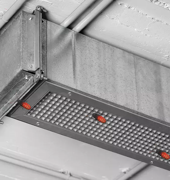 Affordable Insect Removal from Air Ducts in Beltsville, MD