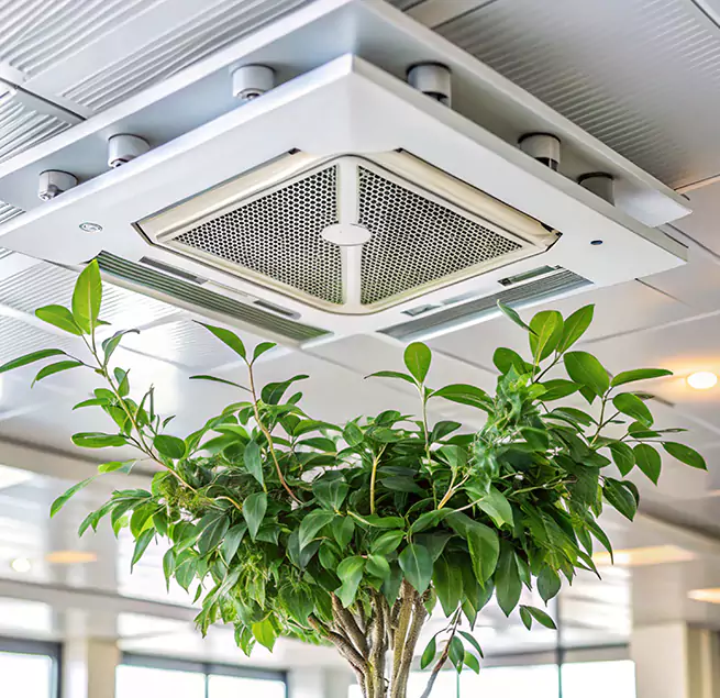 Why Homeowners & Businesses Trust Us in Beltsville, MD?